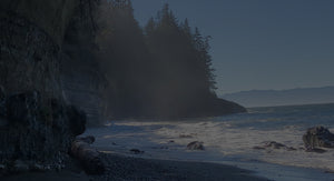 based in Victoria Vancouver island. Stage my home Canada